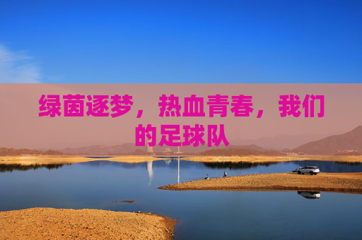 绿茵逐梦,热血青春,我们的足球队