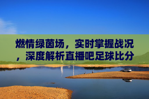 燃情绿茵场,实时掌握战况,深度解析直播吧足球比分直播的魅力