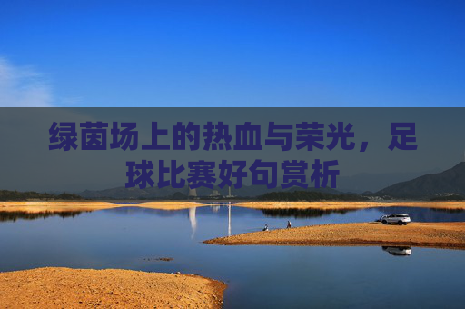 绿茵场上的热血与荣光,足球比赛好句赏析