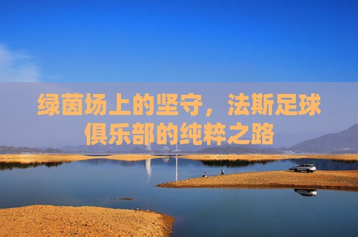 绿茵场上的坚守,法斯足球俱乐部的纯粹之路