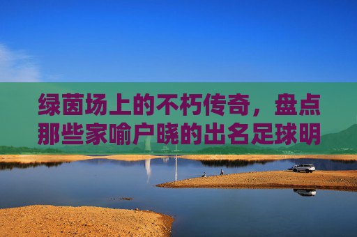 绿茵场上的不朽传奇,盘点那些家喻户晓的出名足球明星