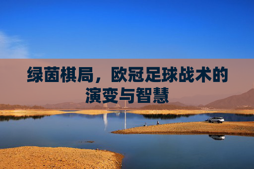 绿茵棋局,欧冠足球战术的演变与智慧