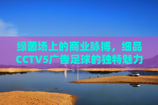 绿茵场上的商业脉搏,细品CCTV5广告足球的独特魅力