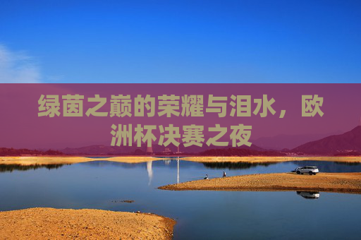 绿茵之巅的荣耀与泪水,欧洲杯决赛之夜