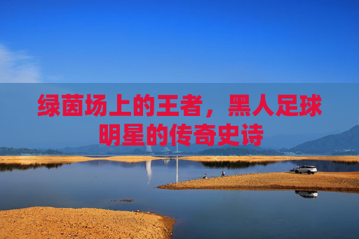 绿茵场上的王者,黑人足球明星的传奇史诗