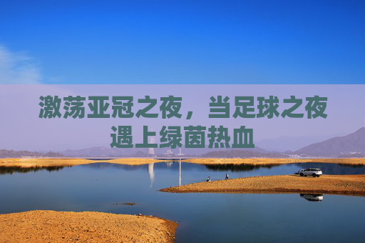 激荡亚冠之夜,当足球之夜遇上绿茵热血