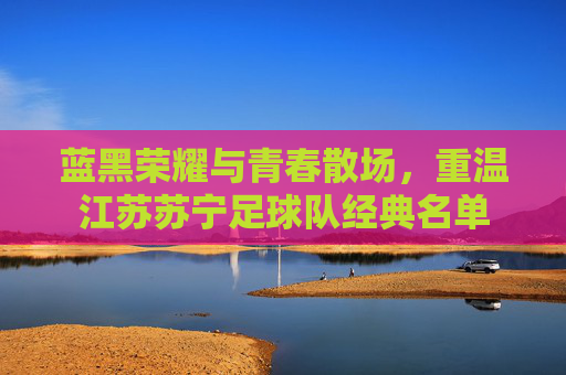 蓝黑荣耀与青春散场,重温江苏苏宁足球队经典名单