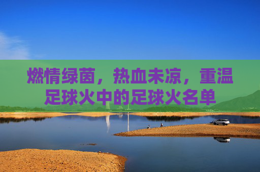 燃情绿茵,热血未凉,重温足球火中的足球火名单