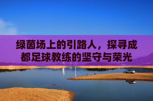 绿茵场上的引路人,探寻成都足球教练的坚守与荣光
