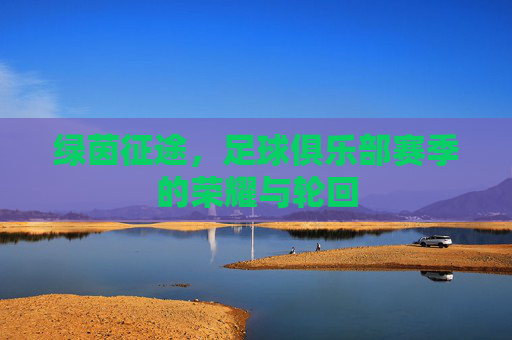 绿茵征途,足球俱乐部赛季的荣耀与轮回