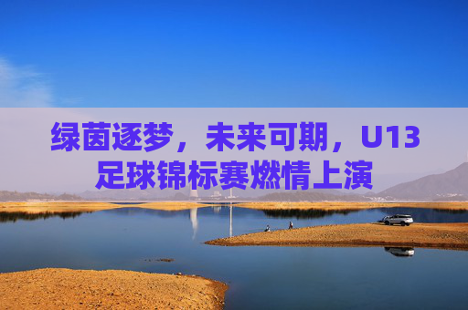 绿茵逐梦，未来可期，U13足球锦标赛燃情上演