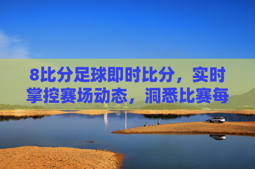 8比分足球即时比分,实时掌控赛场动态,洞悉比赛每一刻