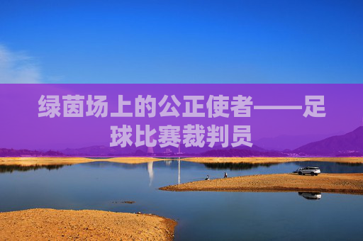 绿茵场上的公正使者——足球比赛裁判员