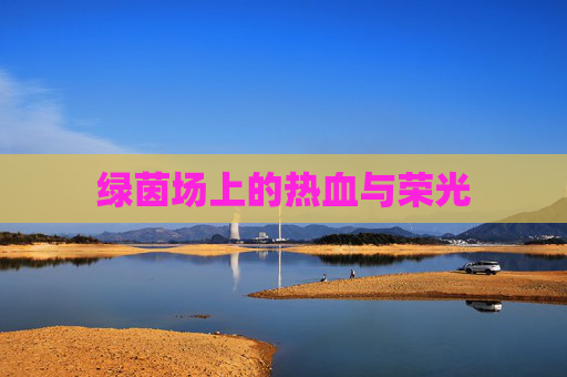 绿茵场上的热血与荣光