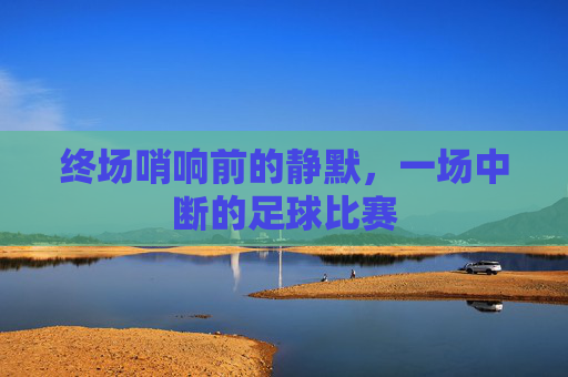 终场哨响前的静默，一场中断的足球比赛