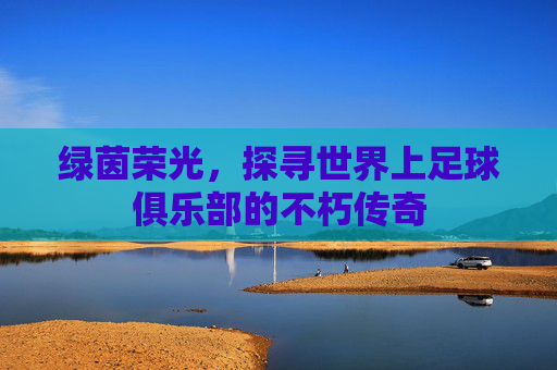 绿茵荣光,探寻世界上足球俱乐部的不朽传奇