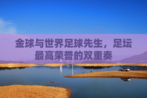 金球与世界足球先生,足坛最高荣誉的双重奏