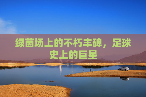 绿茵场上的不朽丰碑,足球史上的巨星