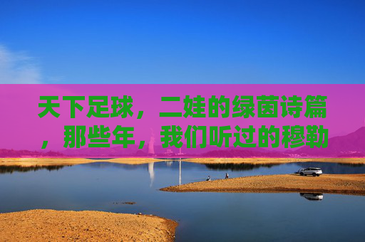 天下足球,二娃的绿茵诗篇,那些年,我们听过的穆勒时刻
