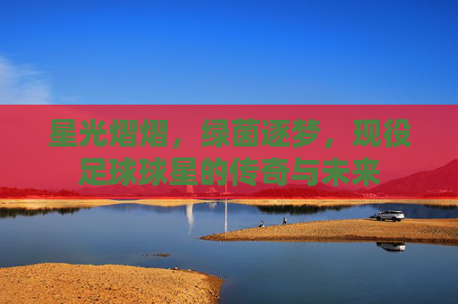 星光熠熠，绿茵逐梦，现役足球球星的传奇与未来