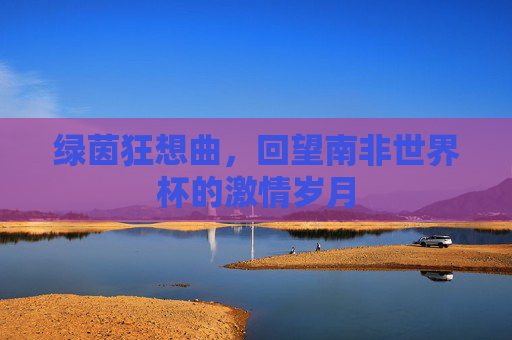 绿茵狂想曲,回望南非世界杯的激情岁月