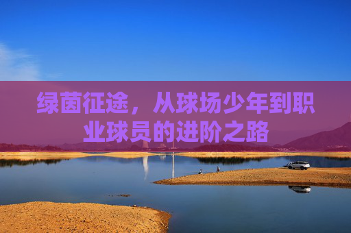 绿茵征途，从球场少年到职业球员的进阶之路