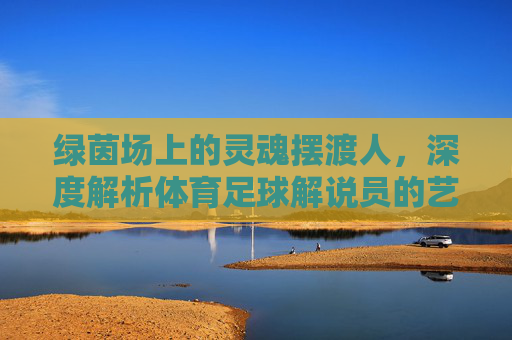 绿茵场上的灵魂摆渡人,深度解析体育足球解说员的艺术与魅力