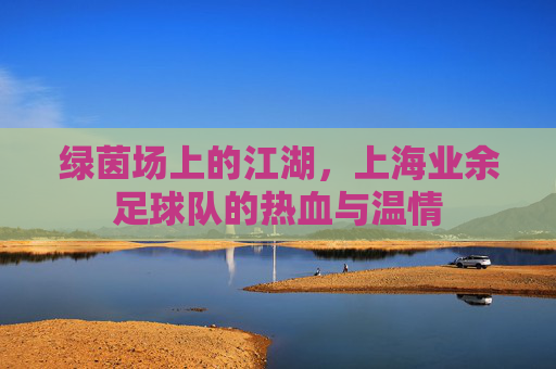 绿茵场上的江湖,上海业余足球队的热血与温情
