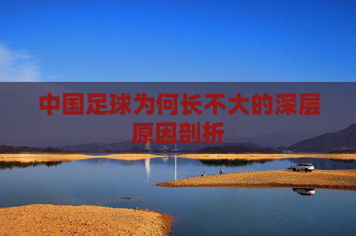中国足球为何长不大的深层原因剖析