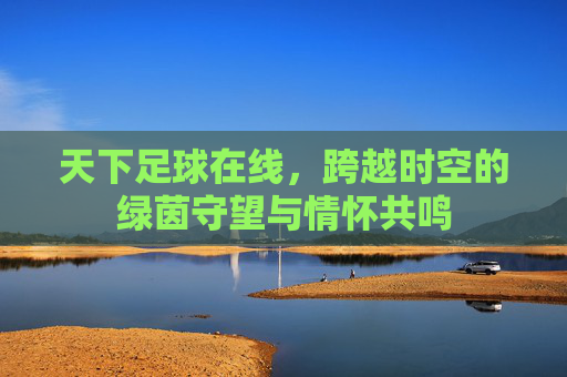 天下足球在线,跨越时空的绿茵守望与情怀共鸣