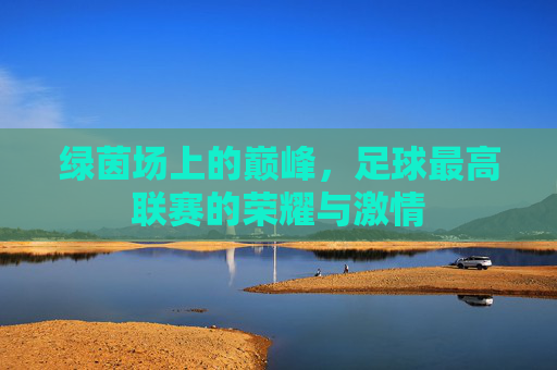 绿茵场上的巅峰,足球最高联赛的荣耀与激情