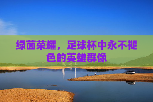 绿茵荣耀,足球杯中永不褪色的英雄群像