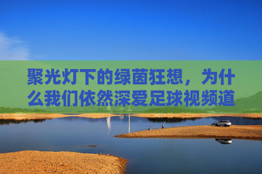 聚光灯下的绿茵狂想,为什么我们依然深爱足球视频道