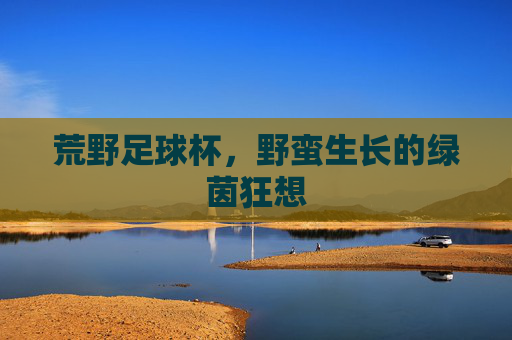 荒野足球杯，野蛮生长的绿茵狂想