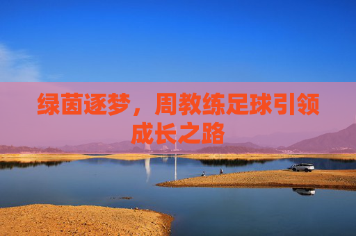 绿茵逐梦，周教练足球引领成长之路