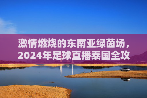 激情燃烧的东南亚绿茵场,2024年足球直播泰国全攻略