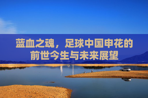蓝血之魂，足球中国申花的前世今生与未来展望