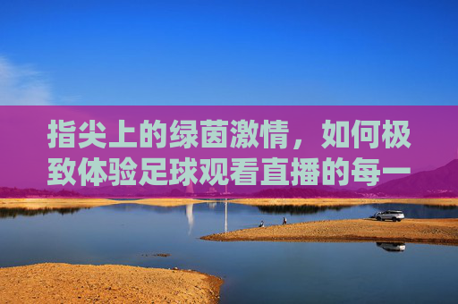 指尖上的绿茵激情，如何极致体验足球观看直播的每一个瞬间