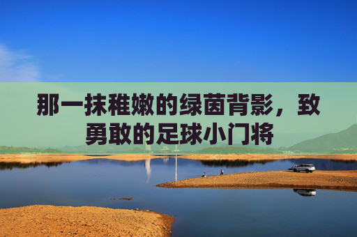 那一抹稚嫩的绿茵背影，致勇敢的足球小门将