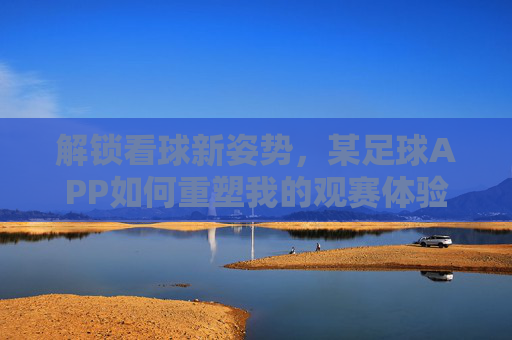 解锁看球新姿势,某足球APP如何重塑我的观赛体验
