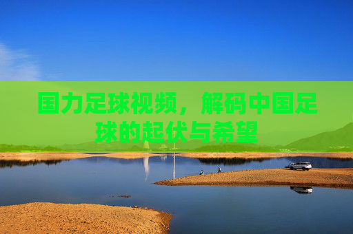 国力足球视频,解码中国足球的起伏与希望