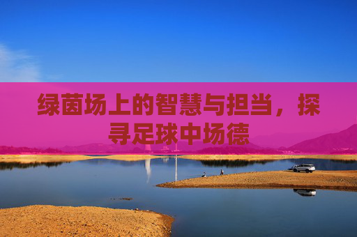 绿茵场上的智慧与担当,探寻足球中场德