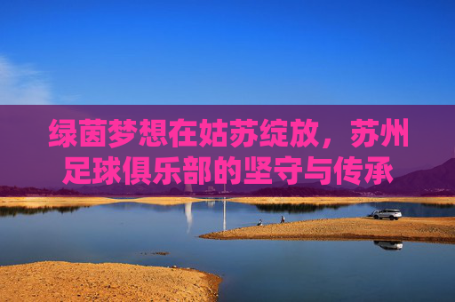 绿茵梦想在姑苏绽放，苏州足球俱乐部的坚守与传承