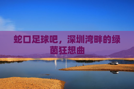 蛇口足球吧，深圳湾畔的绿茵狂想曲