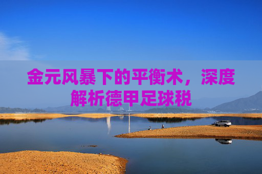 金元风暴下的平衡术，深度解析德甲足球税