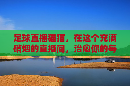 足球直播猫猫，在这个充满硝烟的直播间，治愈你的每一个进球瞬间