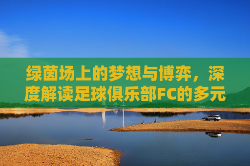 绿茵场上的梦想与博弈,深度解读足球俱乐部FC的多元魅力