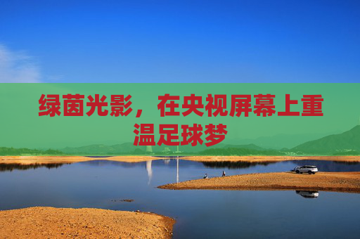 绿茵光影，在央视屏幕上重温足球梦