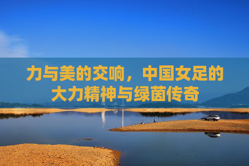 力与美的交响,中国女足的大力精神与绿茵传奇