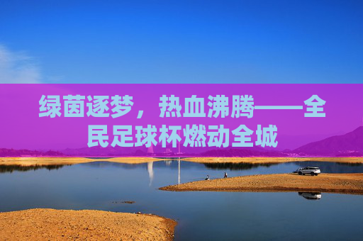 绿茵逐梦,热血沸腾——全民足球杯燃动全城